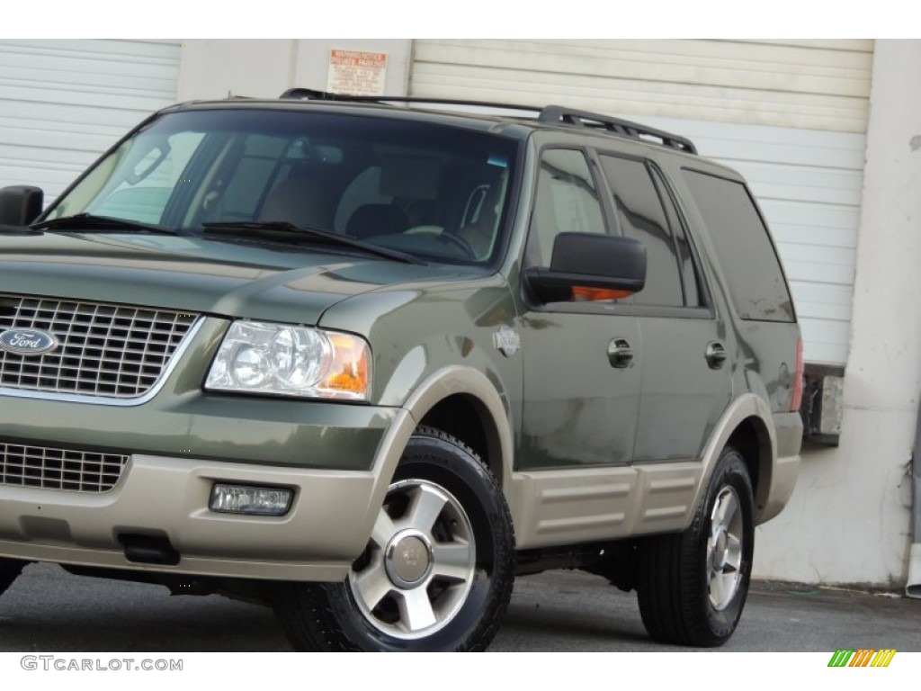 2006 Expedition Eddie Bauer 4x4 - Estate Green Metallic / Medium Parchment photo #10