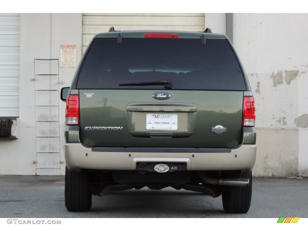 2006 Expedition Eddie Bauer 4x4 - Estate Green Metallic / Medium Parchment photo #11