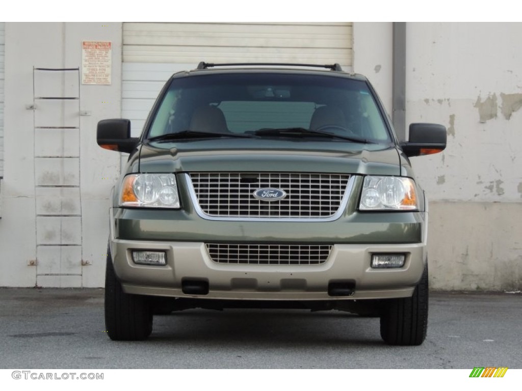 2006 Expedition Eddie Bauer 4x4 - Estate Green Metallic / Medium Parchment photo #34