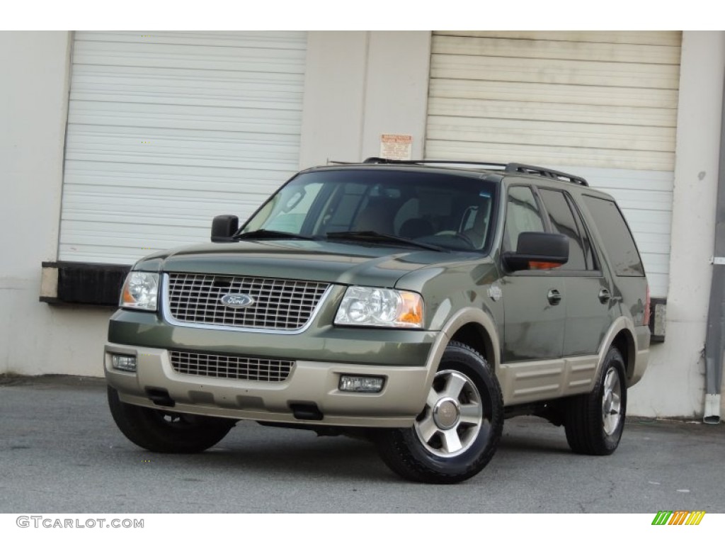2006 Expedition Eddie Bauer 4x4 - Estate Green Metallic / Medium Parchment photo #35
