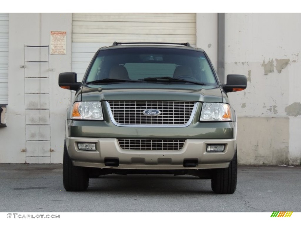 2006 Expedition Eddie Bauer 4x4 - Estate Green Metallic / Medium Parchment photo #39