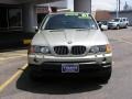 Pearl Beige Metallic - X5 4.4i Photo No. 2