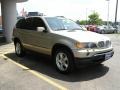 Pearl Beige Metallic - X5 4.4i Photo No. 3