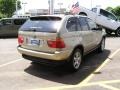 Pearl Beige Metallic - X5 4.4i Photo No. 6