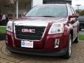 Merlot Jewel Metallic - Terrain SLE Photo No. 3