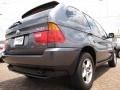 2003 Steel Grey Metallic BMW X5 3.0i  photo #5