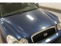 Ardor Blue Metallic - Sonata GLS V6 Photo No. 37