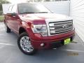 Ruby Red Metallic 2013 Ford F150 Gallery