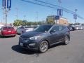 Marlin Blue - Santa Fe Sport  Photo No. 6