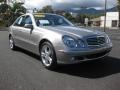 2006 Pewter Metallic Mercedes-Benz E 350 Sedan  photo #7