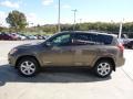 Pyrite Metallic - RAV4 Limited 4WD Photo No. 11