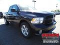 2016 Maximum Steel Metallic Ram 1500 Express Quad Cab  photo #4