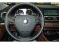 Cinnamon Brown Steering Wheel Photo for 2013 BMW 5 Series #107967794