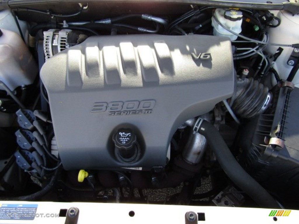 2005 LeSabre Custom - White Opal / Light Cashmere photo #23