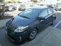 Winter Gray Metallic - Prius 3rd Gen Two Hybrid Photo No. 10