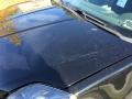 Super Black - Sentra SE-R Photo No. 20