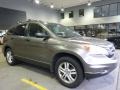 2010 Urban Titanium Metallic Honda CR-V EX AWD  photo #1