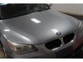 2004 Amethyst Grey Metallic BMW 5 Series 530i Sedan  photo #44