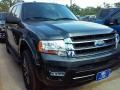 Magnetic Metallic - Expedition XLT Photo No. 1
