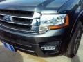 Magnetic Metallic - Expedition XLT Photo No. 21