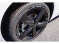 Bright White - Dart SXT Rallye Blacktop Photo No. 5