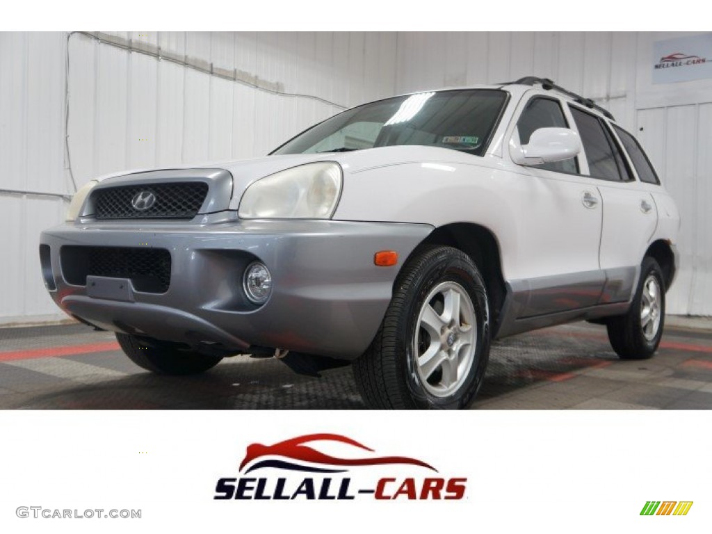 2004 Santa Fe GLS - Nordic White / Gray photo #1