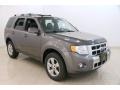 2012 Sterling Gray Metallic Ford Escape Limited  photo #1