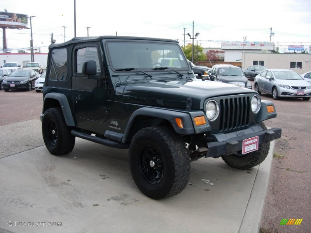 2004 Wrangler SE 4x4 - Shale Green Metallic / Dark Slate Gray photo #7