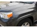 Magnetic Gray Metallic - 4Runner SR5 Photo No. 14