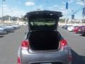 Triathlon Gray - Veloster  Photo No. 19