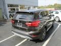 Sparkling Brown Metallic - X1 xDrive28i Photo No. 6