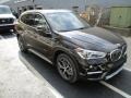 Sparkling Brown Metallic - X1 xDrive28i Photo No. 7