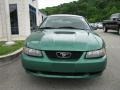 2001 Electric Green Metallic Ford Mustang V6 Coupe  photo #4