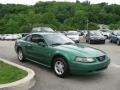 2001 Electric Green Metallic Ford Mustang V6 Coupe  photo #5
