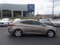 2016 Desert Bronze Hyundai Elantra Value Edition  photo #11