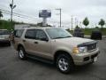 2004 Pueblo Gold Metallic Ford Explorer XLT 4x4  photo #1