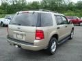 2004 Pueblo Gold Metallic Ford Explorer XLT 4x4  photo #3