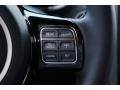 Black Controls Photo for 2015 Dodge SRT Viper #108136268