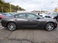 Granite Crystal Metallic - Charger SE AWD Photo No. 6