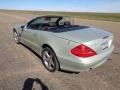 designo Silver Metallic - SL 500 Roadster Photo No. 5