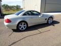 designo Silver Metallic - SL 500 Roadster Photo No. 9