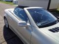 designo Silver Metallic - SL 500 Roadster Photo No. 10