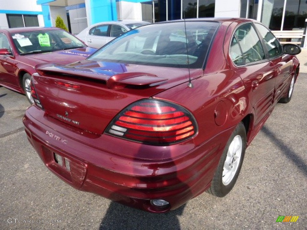 2002 Grand Am SE Sedan - Redfire Metallic / Dark Pewter photo #4
