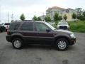 Charcoal Beige Metallic - Mariner Luxury 4WD Photo No. 2