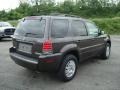 Charcoal Beige Metallic - Mariner Luxury 4WD Photo No. 3