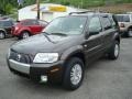 Charcoal Beige Metallic - Mariner Luxury 4WD Photo No. 7