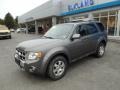 Sterling Grey Metallic - Escape Limited V6 4WD Photo No. 2