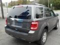 Sterling Grey Metallic - Escape Limited V6 4WD Photo No. 7