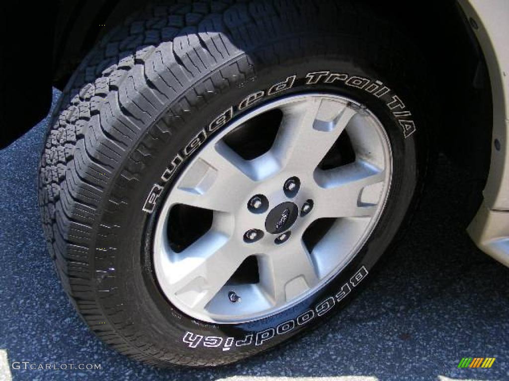 2005 Explorer Eddie Bauer 4x4 - Dark Stone Metallic / Medium Parchment photo #28