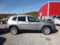 Billet Silver Metallic - Cherokee Latitude Photo No. 7